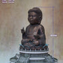 3. Kim Statue of Tian Tan Buddha (Limited Edition 100pcs)